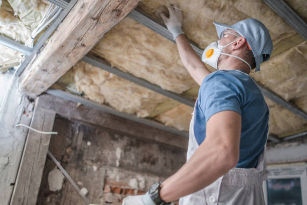 Best Soundproof Insulation Installation  in Princeton, WV
