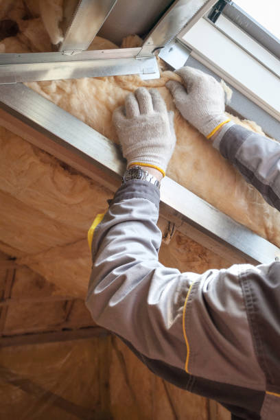 Best Soundproof Insulation Installation  in Princeton, WV