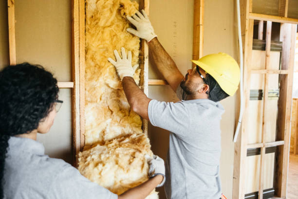 Best Insulation Removal  in Princeton, WV