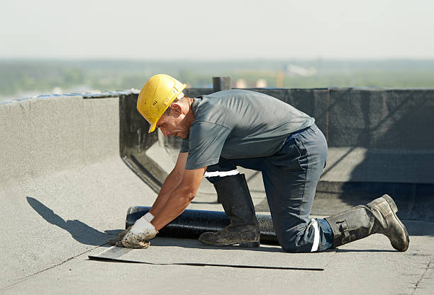 Best Best Insulation Companies  in Princeton, WV