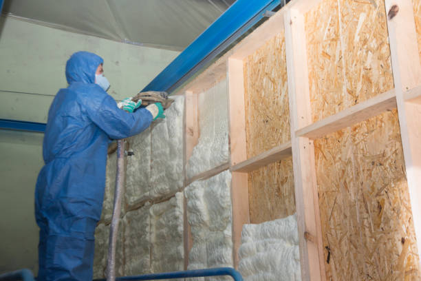 Best Crawl Space Insulation  in Princeton, WV