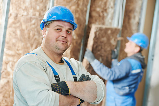 Best Cellulose Insulation  in Princeton, WV