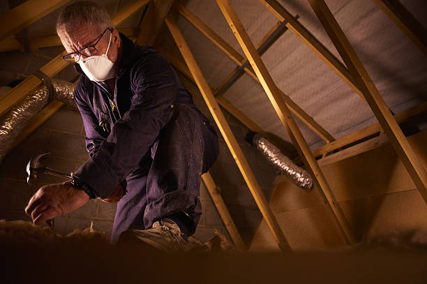 Best Commercial Insulation Contractor  in Princeton, WV