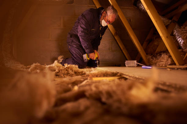Best Commercial Insulation Contractor  in Princeton, WV