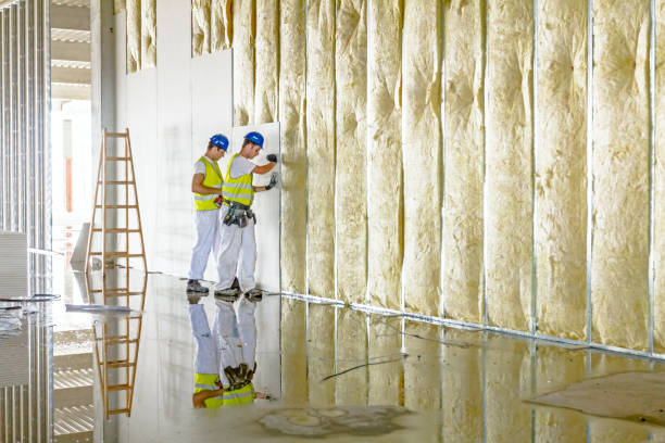 Best Garage Insulation Installation  in Princeton, WV
